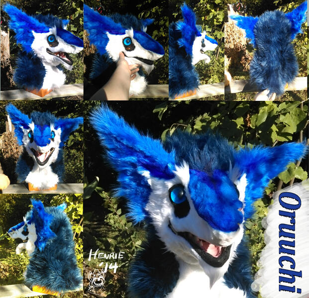 2.0 Fursuit Head By Henrie 2014